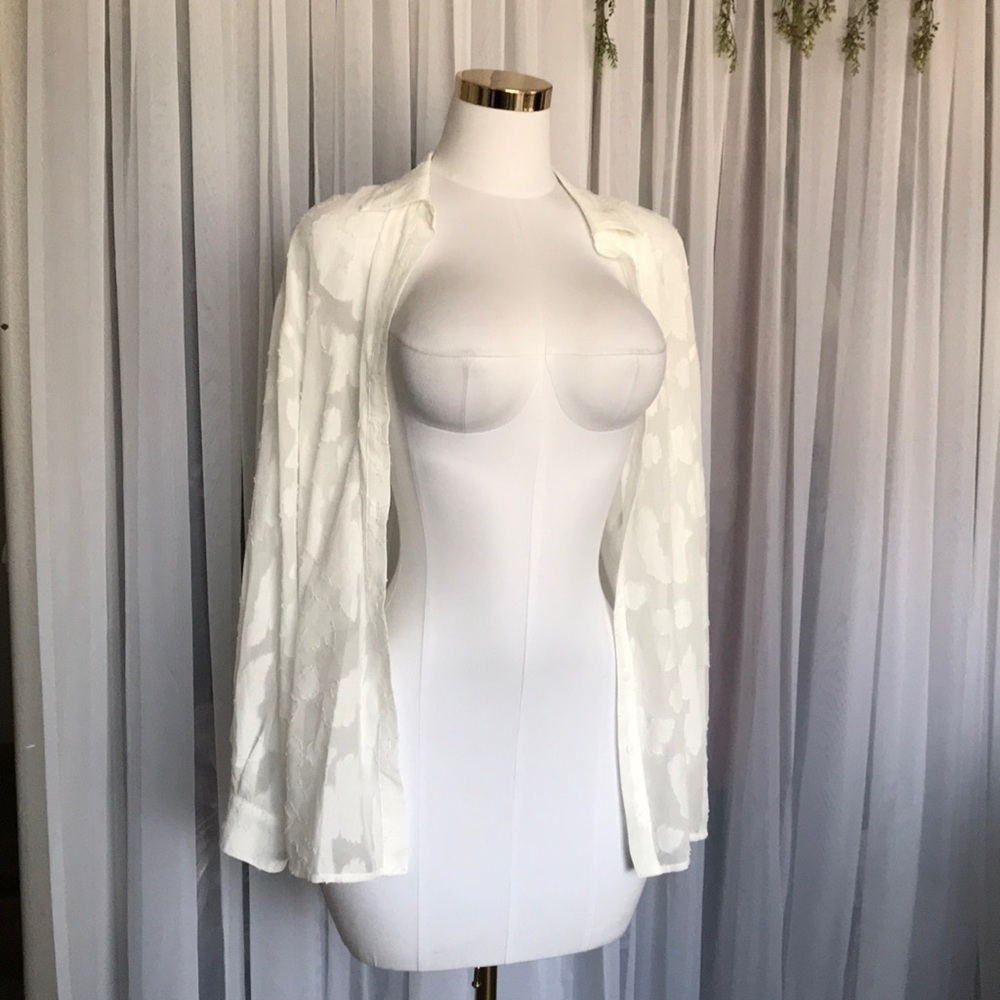 Sheer Oversized Long Sleeve